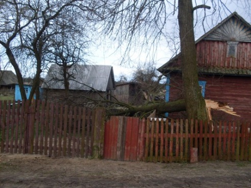 Буянства стыхіі