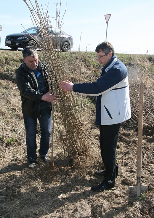 У Паставах закладзены сквер 70-годдзя Вялікай Перамогі (+фота)