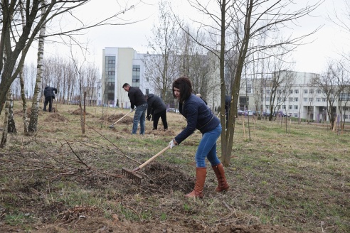 Жители города Барановичи вышли на субботник