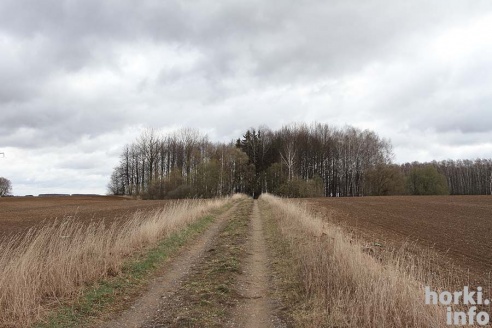 Как мы готовы встретить Радуницу?