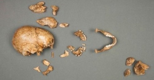 Фейк или правда? Польские рыбаки нашли в желудке 110-летнего сома останки офицера СС (ФОТО)