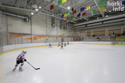 Детский турнир в Ледовой – фоторепортаж