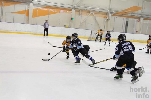 Детский турнир в Ледовой – фоторепортаж
