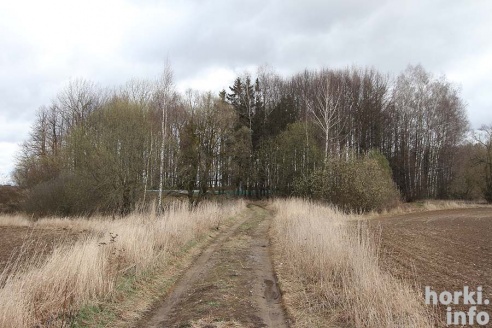 Горецкие кладбища накануне Радуницы. ФОТО