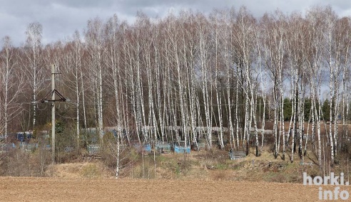 Горецкие кладбища накануне Радуницы. ФОТО