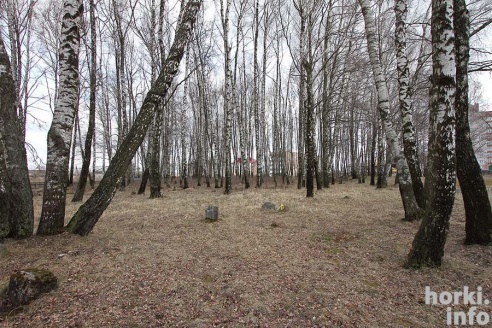 Горецкие кладбища накануне Радуницы. ФОТО