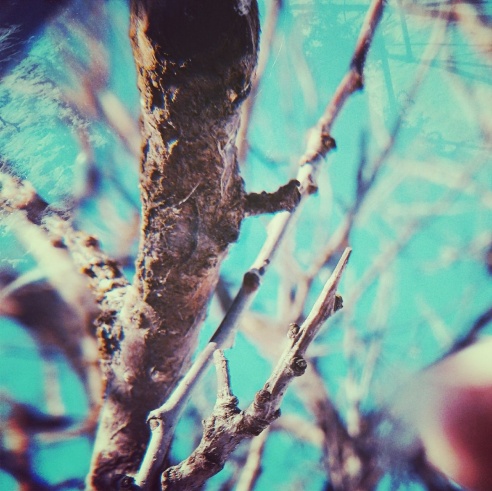 В Барановичах школьник открыл персональную фотовыставку