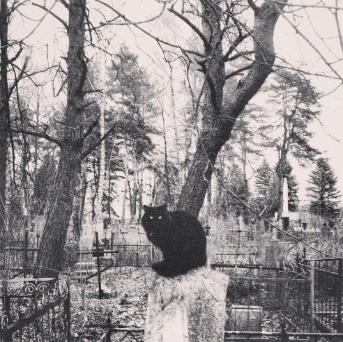 В Барановичах школьник открыл персональную фотовыставку