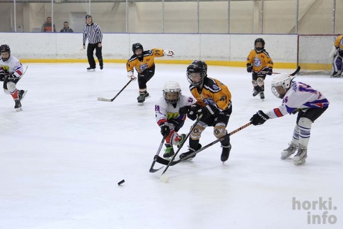 На детском республиканском турнире по хоккею горецкие ребята завоевали второе место