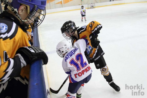 На детском республиканском турнире по хоккею горецкие ребята завоевали второе место