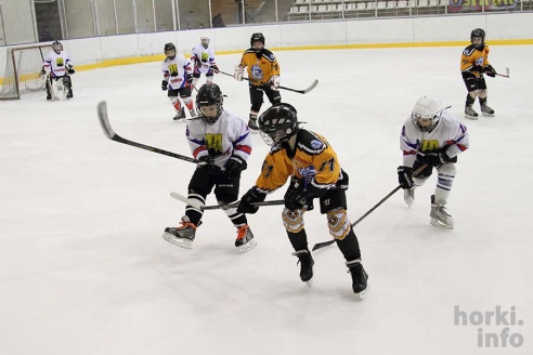 На детском республиканском турнире по хоккею горецкие ребята завоевали второе место