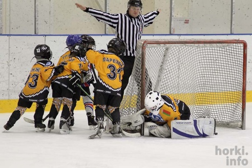 На детском республиканском турнире по хоккею горецкие ребята завоевали второе место