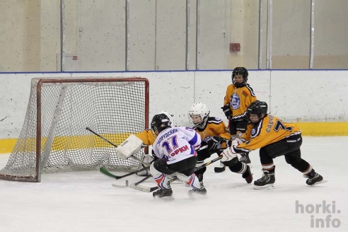 На детском республиканском турнире по хоккею горецкие ребята завоевали второе место