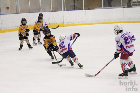 На детском республиканском турнире по хоккею горецкие ребята завоевали второе место