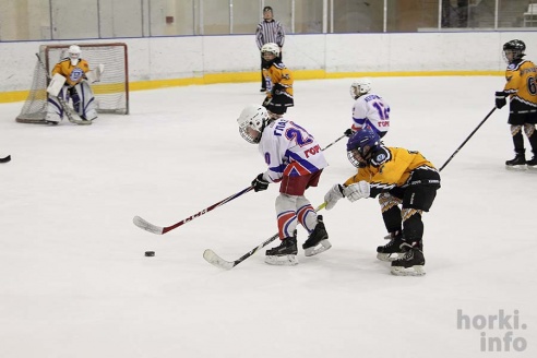 На детском республиканском турнире по хоккею горецкие ребята завоевали второе место