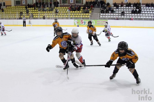 На детском республиканском турнире по хоккею горецкие ребята завоевали второе место