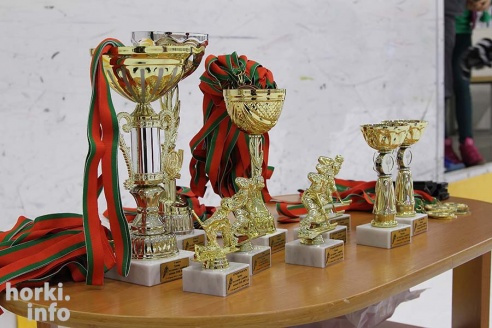 На детском республиканском турнире по хоккею горецкие ребята завоевали второе место