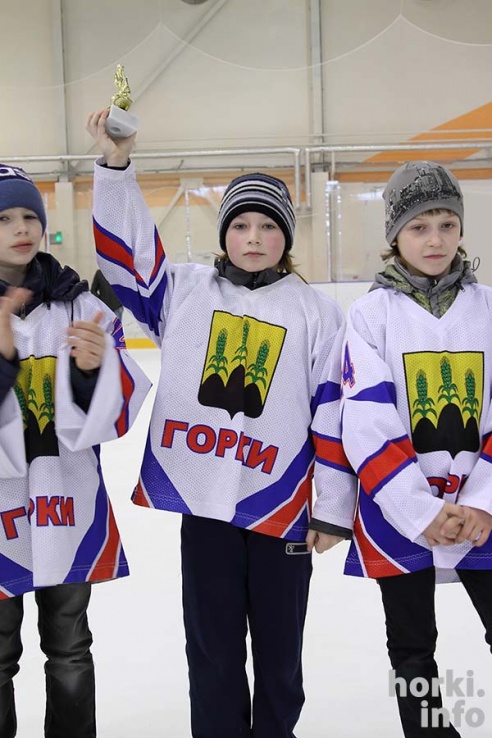 На детском республиканском турнире по хоккею горецкие ребята завоевали второе место