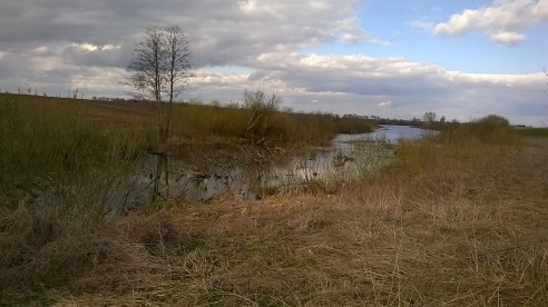 «Таинственное и зловещее место детства»