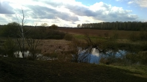 «Таинственное и зловещее место детства»