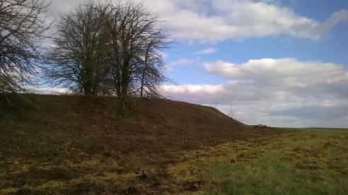 «Таинственное и зловещее место детства»