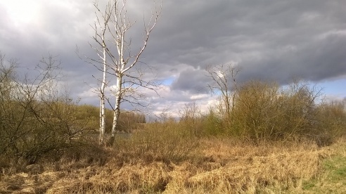 «Таинственное и зловещее место детства»