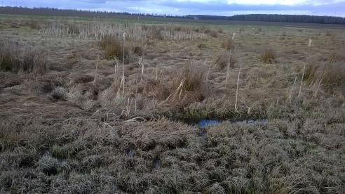 «Таинственное и зловещее место детства»