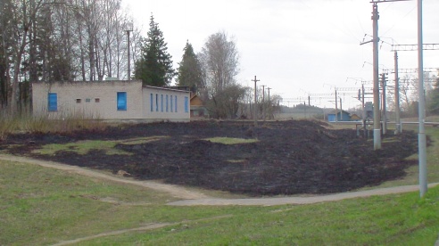 Трава еще горит