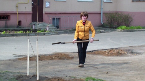 Субботник в воскресенье