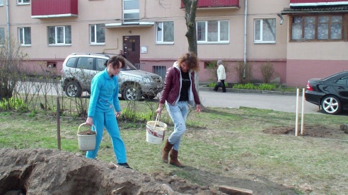Субботник в воскресенье