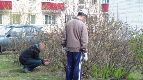 Субботник в воскресенье