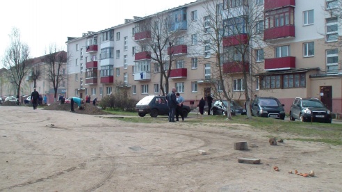 Субботник в воскресенье