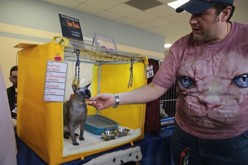 ФОТОФАКТ: В Барановичах прошла выставка кошек