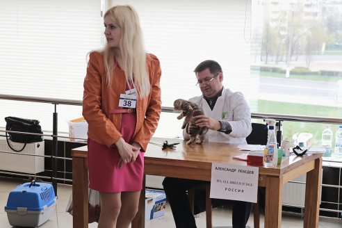 ФОТОФАКТ: В Барановичах прошла выставка кошек