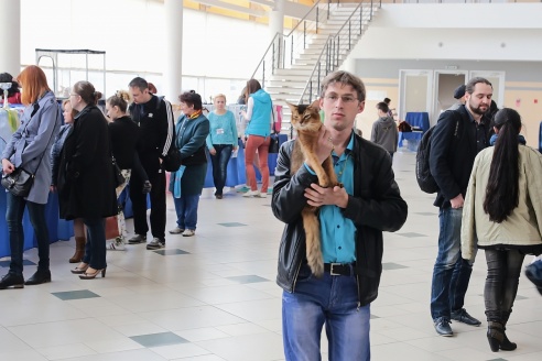 ФОТОФАКТ: В Барановичах прошла выставка кошек