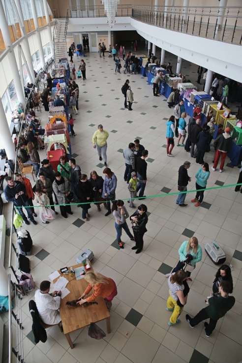 ФОТОФАКТ: В Барановичах прошла выставка кошек