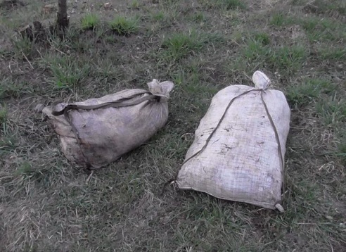 В Барановичском районе задержали браконьера с двумя мешками рыбы