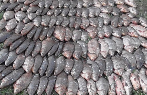 В Барановичском районе задержали браконьера с двумя мешками рыбы