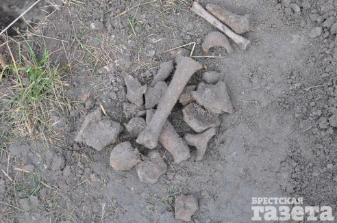 В Брестской крепости нашли останки 6 человек