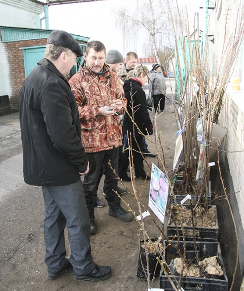 Цэны ніжэй — пакупнік бліжэй