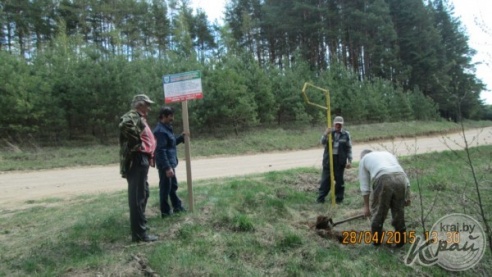 Более 20 мешков мусора – бутылки, пакеты, детские подгузники – собрали у озера Белое на Глуботчине (ФОТО)