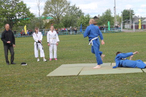 Сегодня на городском стадионе в Костюковичах прошел районный фестиваль «Здоровье — главное в жизни» (+ фото)