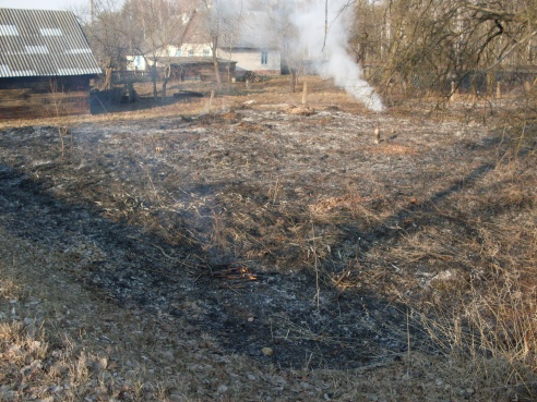 Весенние палы травы
