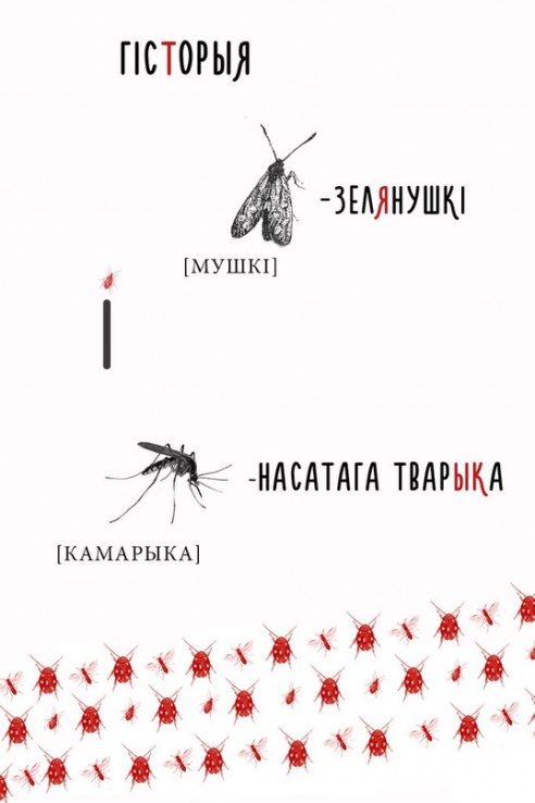 «Ночь музеев-2015» и автокросс: куда пойти в Борисове и Жодино 11–17 мая