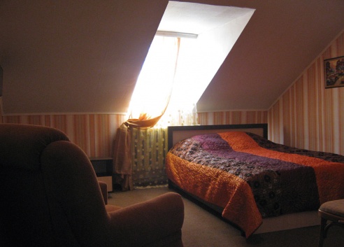 На страусиной ферме «Птичий мир» работает гостиница