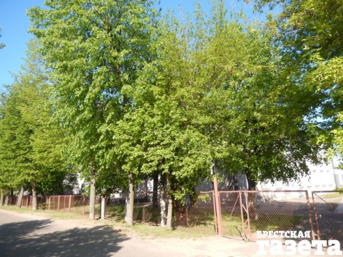 Брестская улица, названная в честь освободителя города, имеет вид всеми позабытой