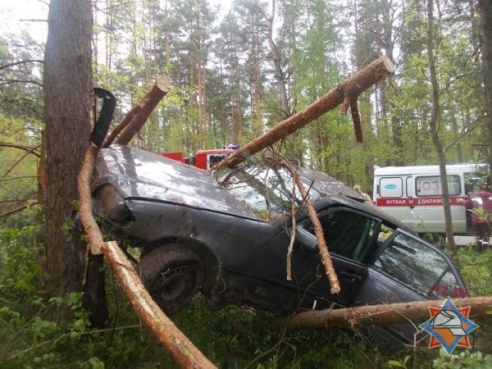 Возле Ручевых Вилейского района «Мерседес» врезался в дерево (ФОТО)
