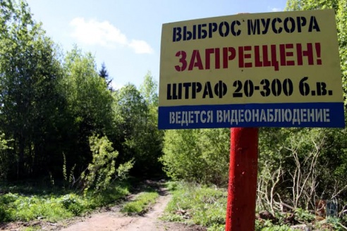 Когда будете выбрасывать мусор в борисовском лесу – постарайтесь улыбнуться