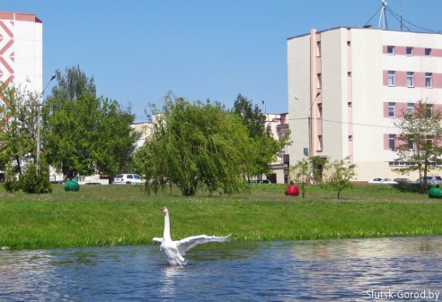 Музыкант, скамейки, улицы и другие фотофакты недавнего благоустройства Слуцка