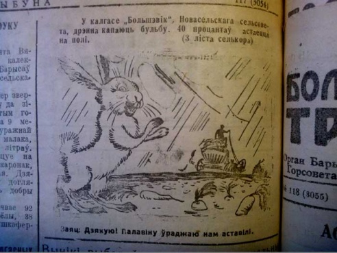 «Самыя дэмакратычныя i свабодныя выбары» і «Ачкаўцірацелі з райзо»: аб чым пісала барысаўская раёнка 70 год таму